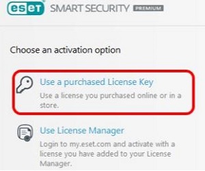 Activation Option screen, purchased license key option