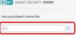 Purchased License Key screen, Enter activation key