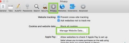 Safari Preferences, Privacy Tab, Manage Website Data