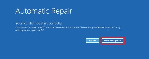 Windows Recovery, Automatic Repair, Advanced Options