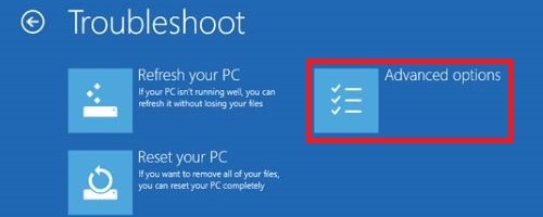 Windows Recovery, Troubleshoot, Advanced Options
