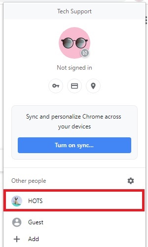 Google Chrome Profile info, profiles listed