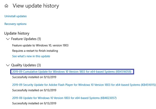 specific Windows update