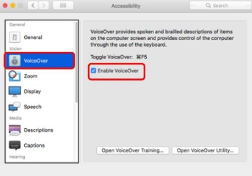 Accessibility Settings, VoiceOver
