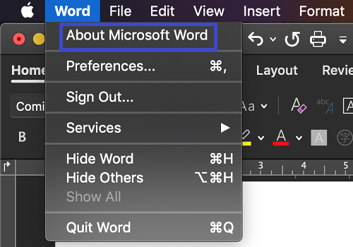 Microsoft Office Word, About Word