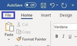 Microsoft Office Word, File