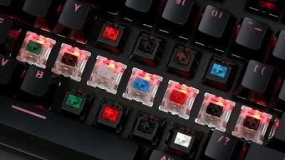 Keyboard with multiple switches