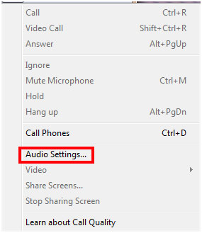 Skype for Windows, Audio Settings