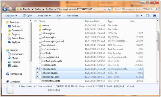 Windows Explorer Firefox Profiles