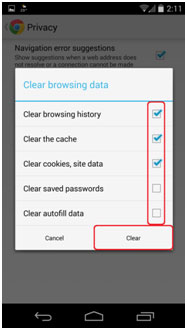 Clear Browsing Data Check Boxes, Clear