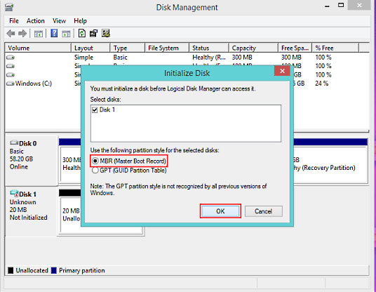Initialize Disk, Partition Type