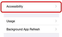 iOS General Settings, Accessibility