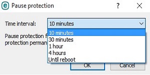 ESET Pause Protection, Time Interval