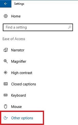Windows 10 Ease of Access, Other Options