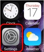 Apple iOS 9 Home Screen Settings highlighted