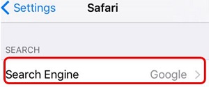 Settings, Safari, Search Engine