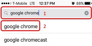 App Store, Google Chrome Search Results