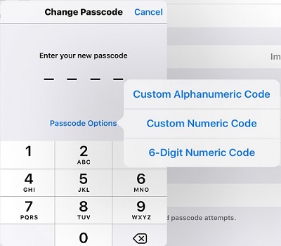 Change passcode, enter your new passcode, passcode options