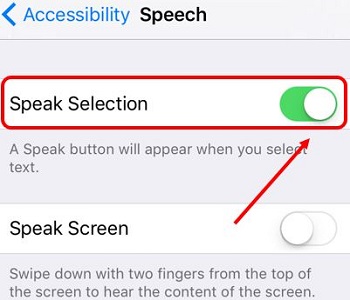 Speak Selection slider