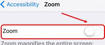 Accessibility, Zoom, Zoom toggle switch