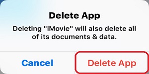 Delete App Confirmation