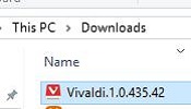 Vivaldi Installation file