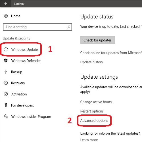 Windows Update, Advanced options