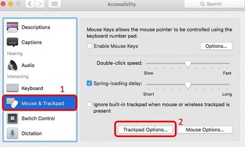 Accessibility, Mouse and Trackpad, Trackpad Options
