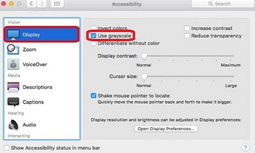 Accessibility, Display, Use Grayscale