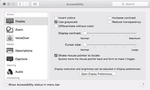 Accessibility, Display, Grayscale Enabled