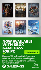 Xbox Game Pass for PC 3 Month Subscription.