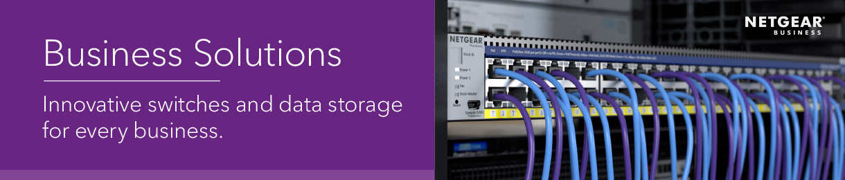 Netgear Business Solutions - Innovative switches and data storage for every business.