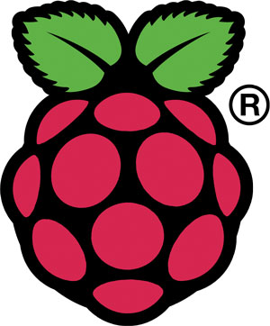 Raspberry Pi Logo