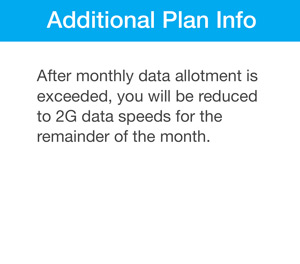 Ting Additional Plan Info After monthly data allotment is exceeded, you will be reduced to 2G data speeds for the remainder of the month.