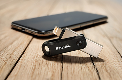 SanDisk MSS Category Image