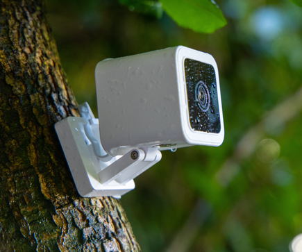 Wyze Cam v3 mounted to a tree