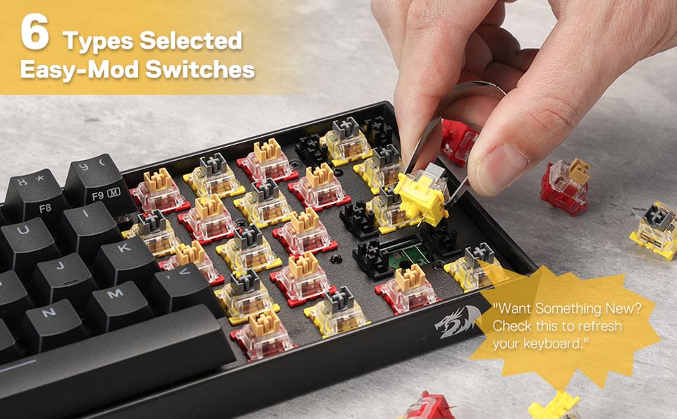 6 Types Selected Easy-Mod Switches