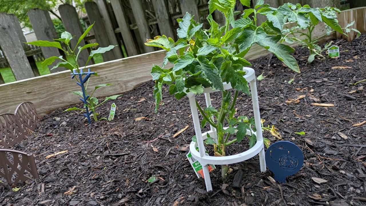 plant with 3D printed stands outdoor