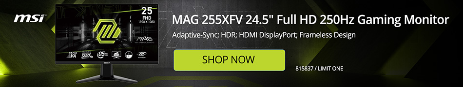 MSI MAG 255XFV 24.5