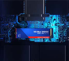 Internal SSDs